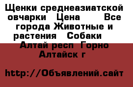 Щенки среднеазиатской овчарки › Цена ­ 1 - Все города Животные и растения » Собаки   . Алтай респ.,Горно-Алтайск г.